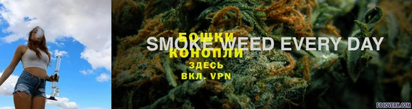 apvp Белокуриха